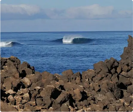 fuerteventura carrusel 6